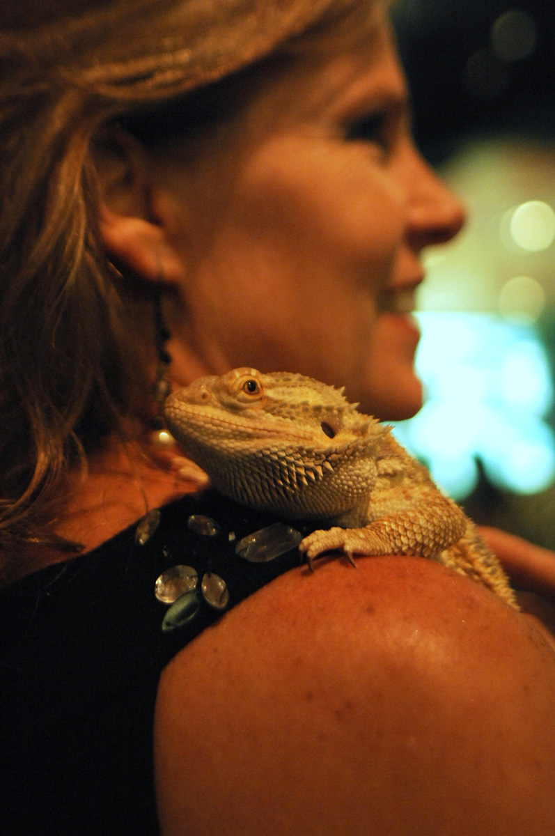 dsc_0361resize.jpg