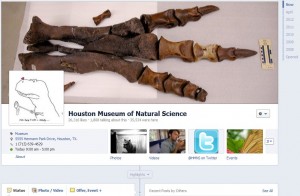 hmnsfacebook
