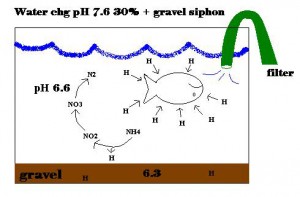water-plus-gravel