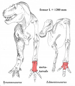 could t rex fly