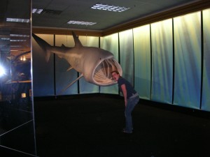 erin-in-a-basking-shark