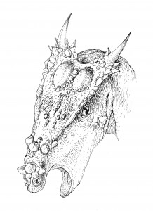 dracorex-portrait