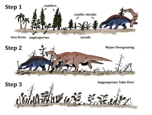 hmns dinosaurs