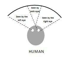 humanvision