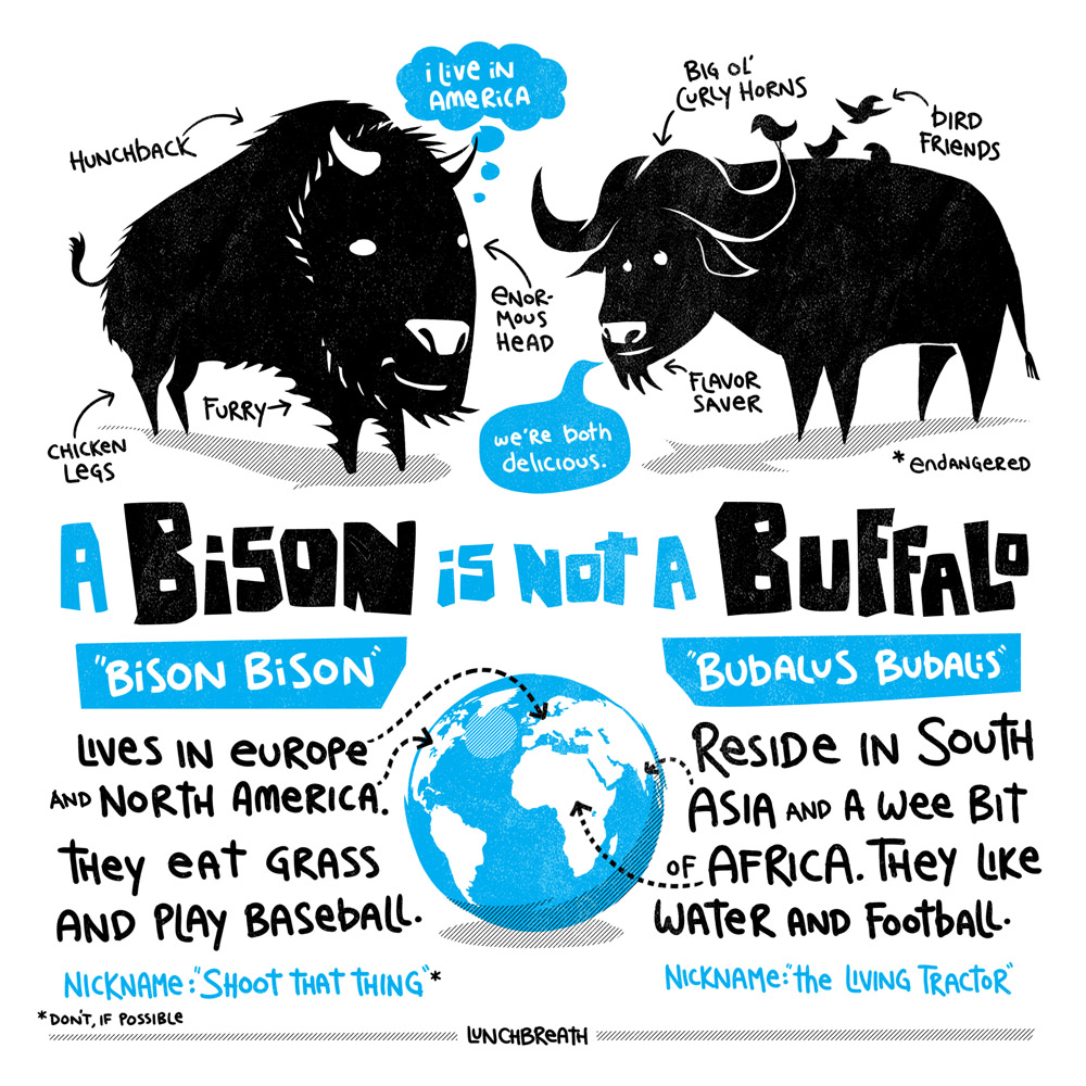 bisonorbuffalo