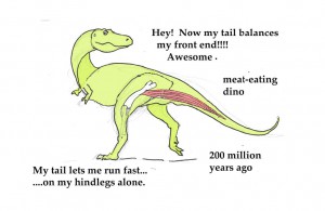 dinosaurs with clubs on their tails