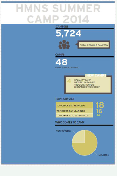 Summer Camp Infographic