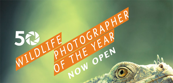 The Moment, Wildlife Photographer of the Year