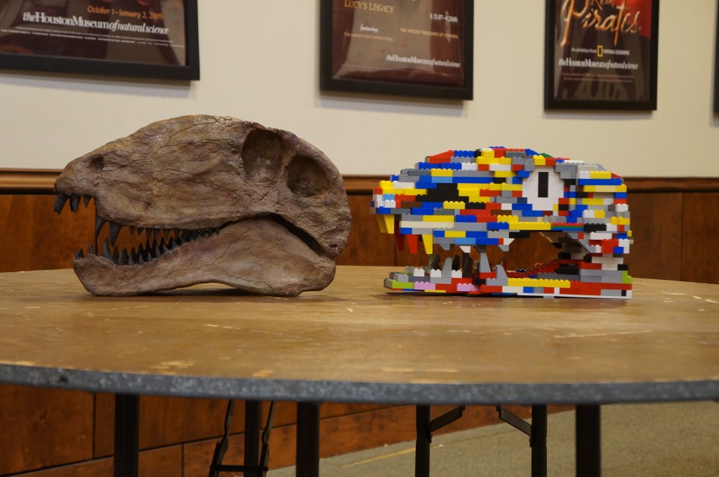 Dimetrodon skull and skull