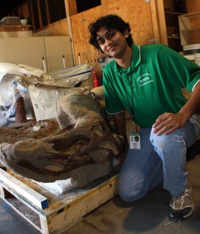 As an Ecoteen, I got to work with various objects and artifacts, including Leonardo, the Brachylophasaurus mummy currently on display in the Morian Hall of Paleontology.