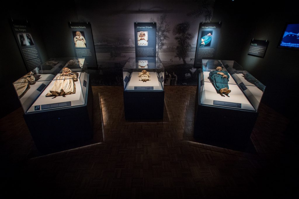 Medicine Meets Mystery: The Vac Mummies | BEYONDbones