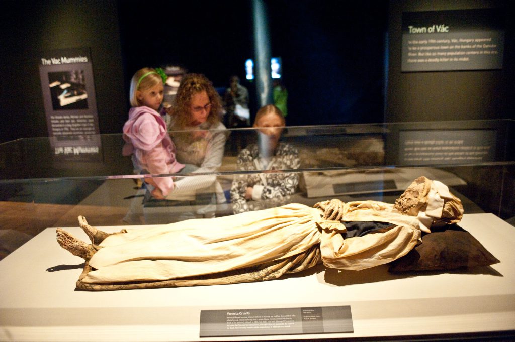 Medicine Meets Mystery: The Vac Mummies | BEYONDbones