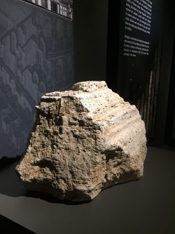 gladiators dinosaurs missed colosseum travertine