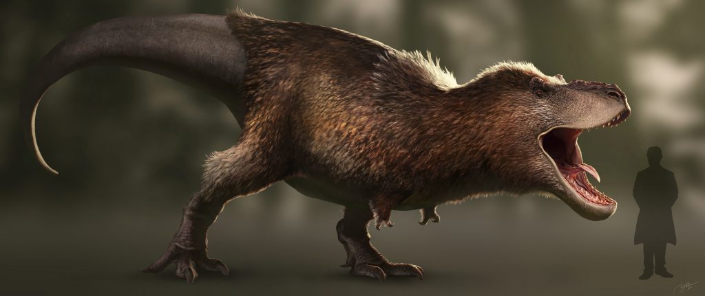Are You Down To Talk About T Rex Feathers Our Very Own Specimen Has 