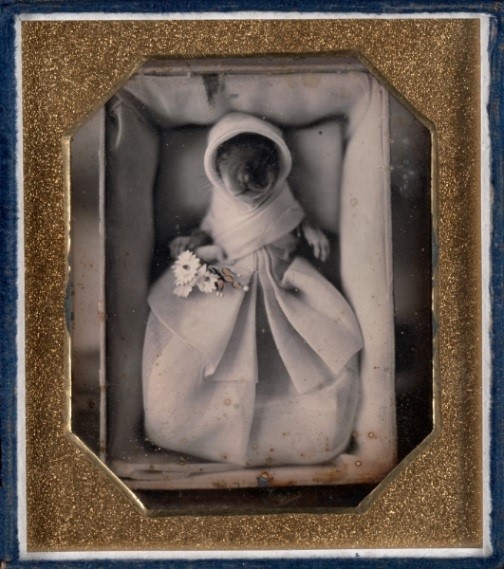 post mortem photography gallery