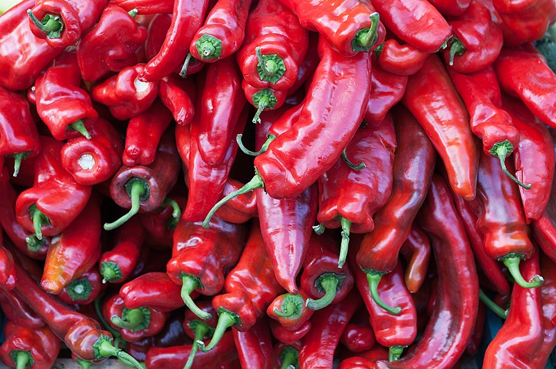 Chili pepper - Wikipedia