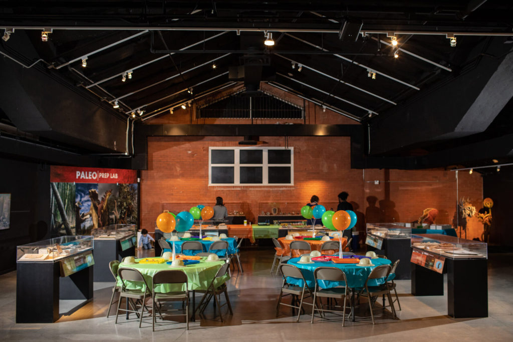 Birthday party with tables and decorations setup at the Sugar Land Houston Museum of Natural Science