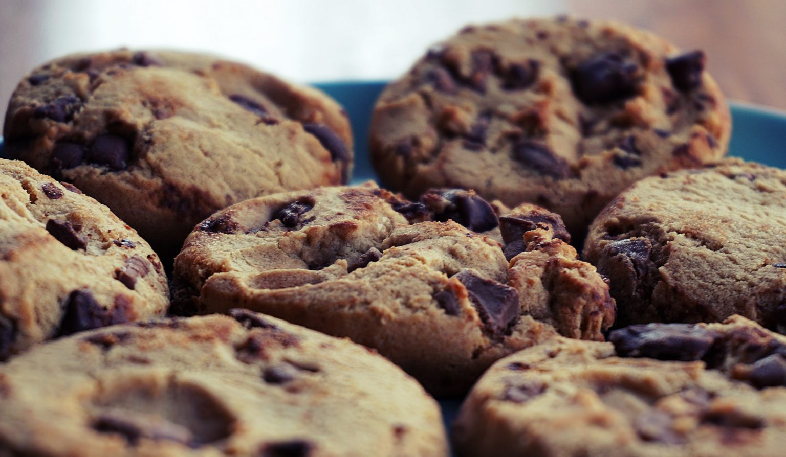 Edible Archaeology: Excavate a Chocolate Chip Cookie | BEYONDbones