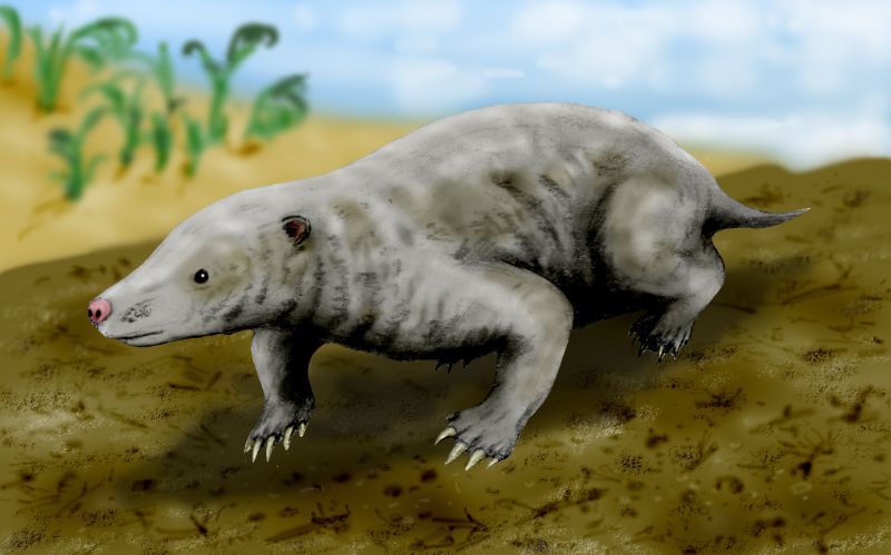 Illustration of a Fruitafossor