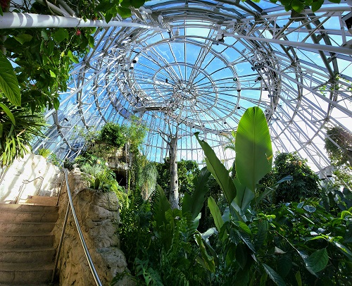 Up view of Cockrell Butterfly Center full
 of green plants in sunlight