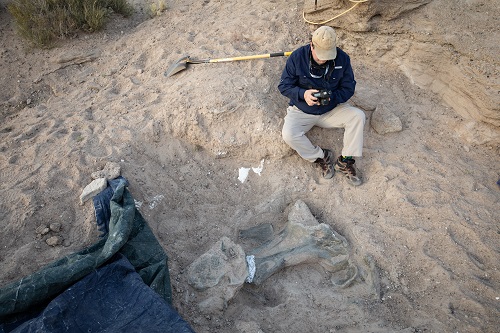 Man sits in dirty taking photo of large fossilized bone peeking out of the earth