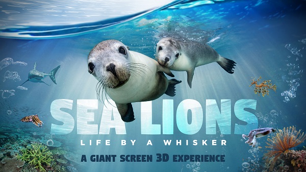 Sea Lions film promo image