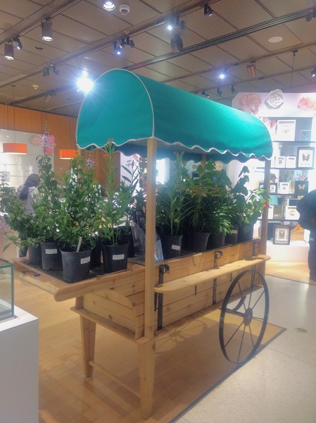 Green plants sit in black pots ontop of a wooden cart in the middle of the HMNS Museum Store
