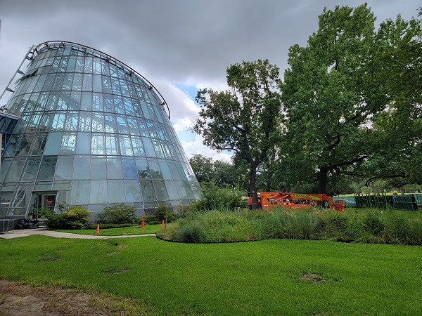 Cockrell Butterfly Center renovations begin