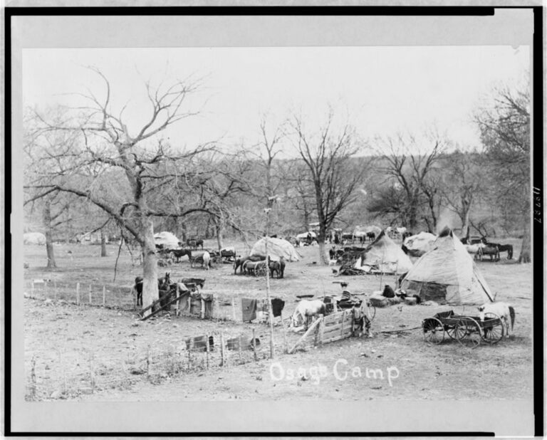 An Osage Camp outside of Fort Drum with cattle, horses, wagons and teepees have been set up.