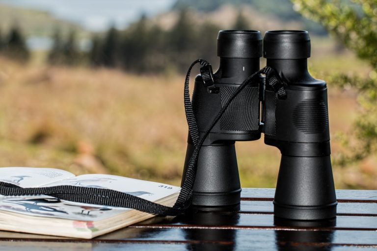 A pair of binoculars sits on a park table next to a field guide for birdwatching. These tools are effective for hobbyist birdwatchers as well as researchers.