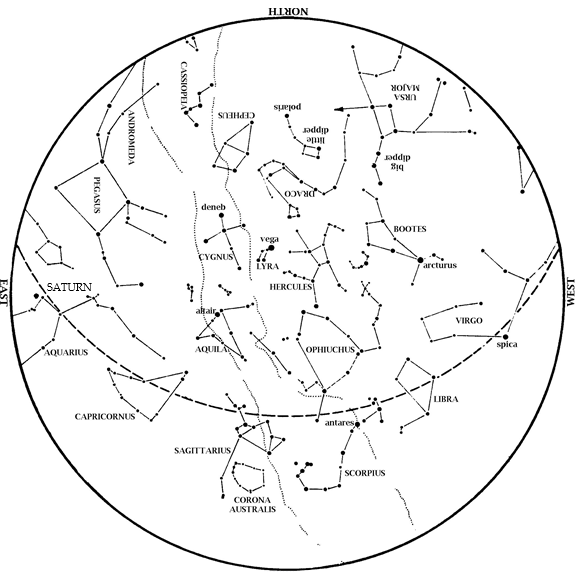 Summer Meteor Shower | August 2024 Sky Happenings. This is a map of the constellations that can be seen over the city of Houston during this month.